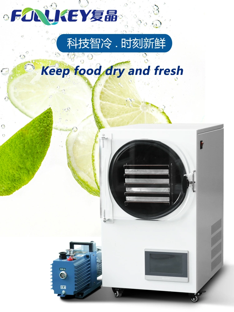 Small Mini Vacuum Commercial Freeze Drying Machine Food Household Home Freeze Dryer