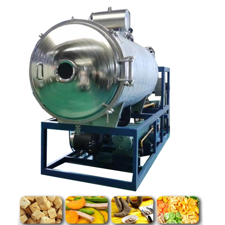 10m² Fruit and Vegetable Freeze Dryer Food Medicine Vacuum Dryer Pet Food Tea Commercial Freeze Drying Equipment